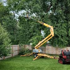 Seasonal Cleanup (Spring/Fall) in Gibson City, IL